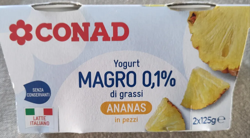 Yogurt magro 0,1% ANANAS