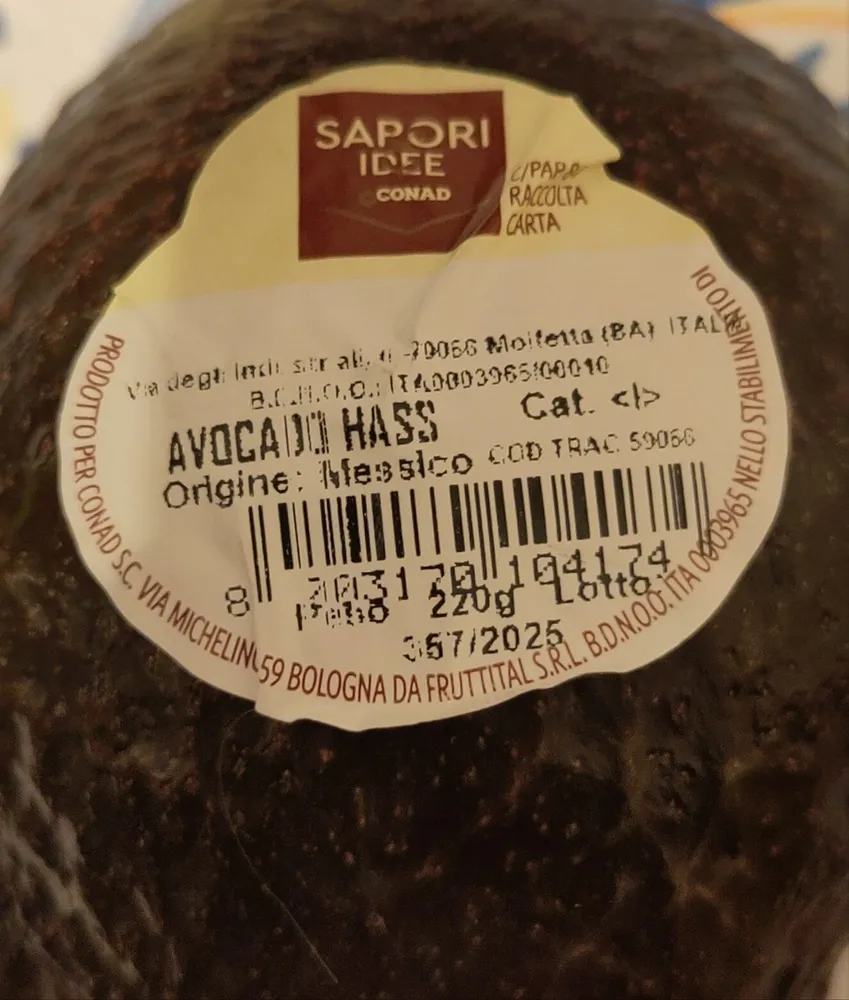 Avocado hass