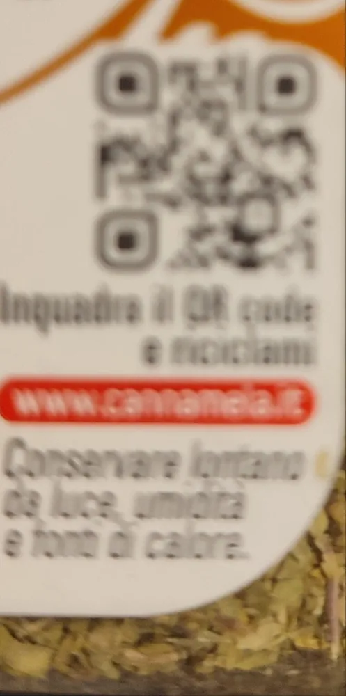 Origano foglie