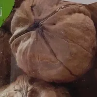 Frutta secca le noci