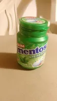 Gum Sugar Free Spearmint