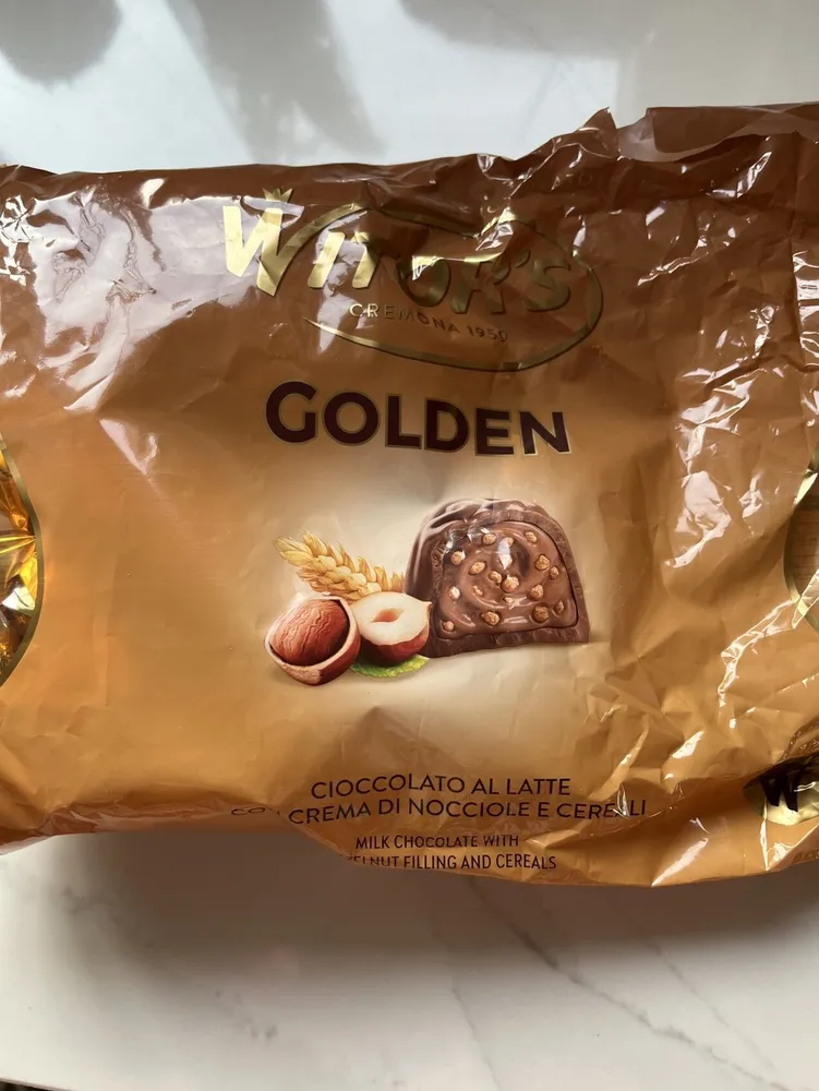 Chocolate Golden