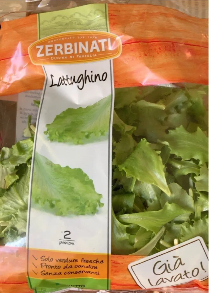 Lattughino