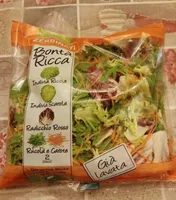 Insalata