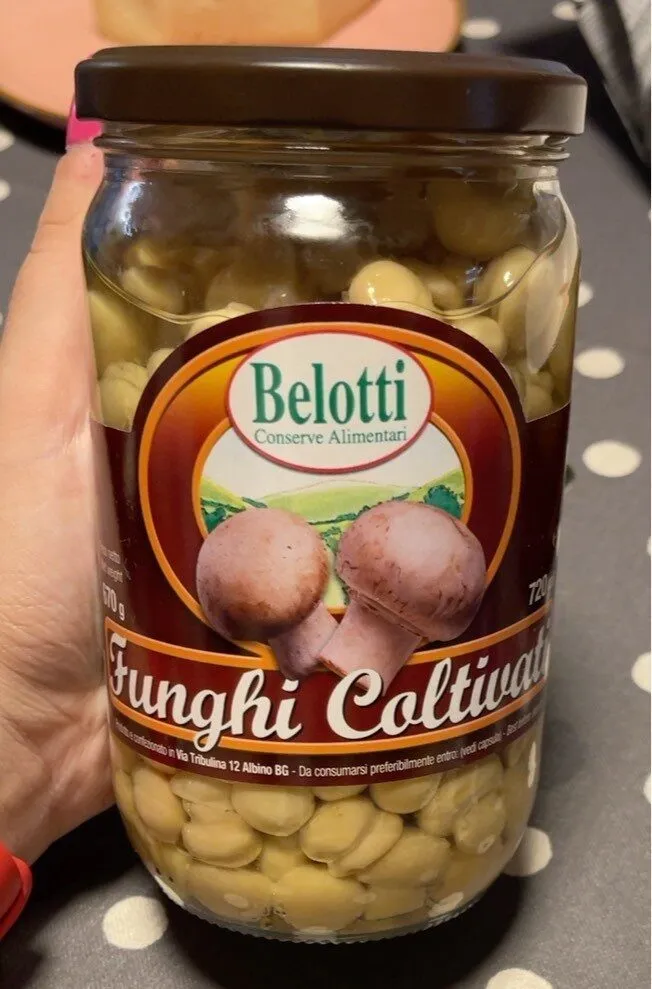 funghi coltivati