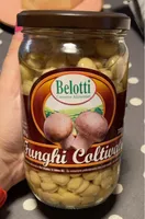 funghi coltivati