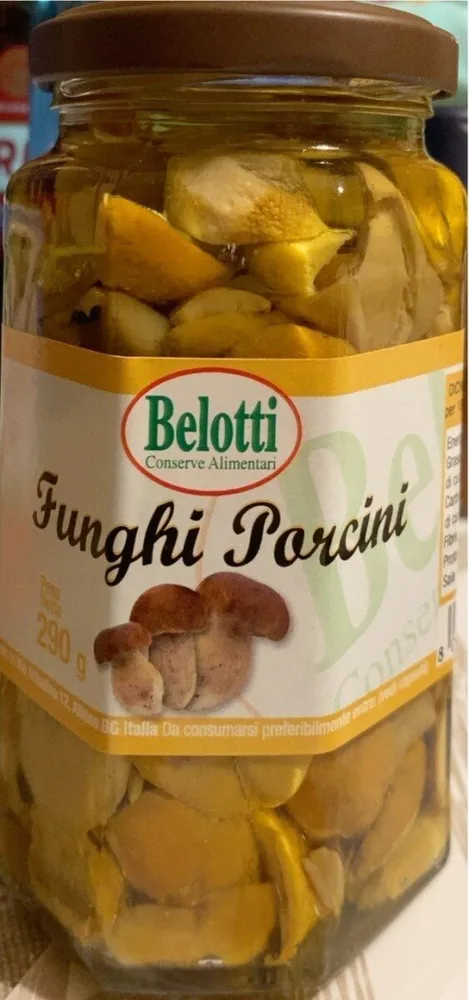 Funghi porcini