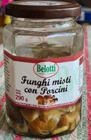 Funghi misti con porcini
