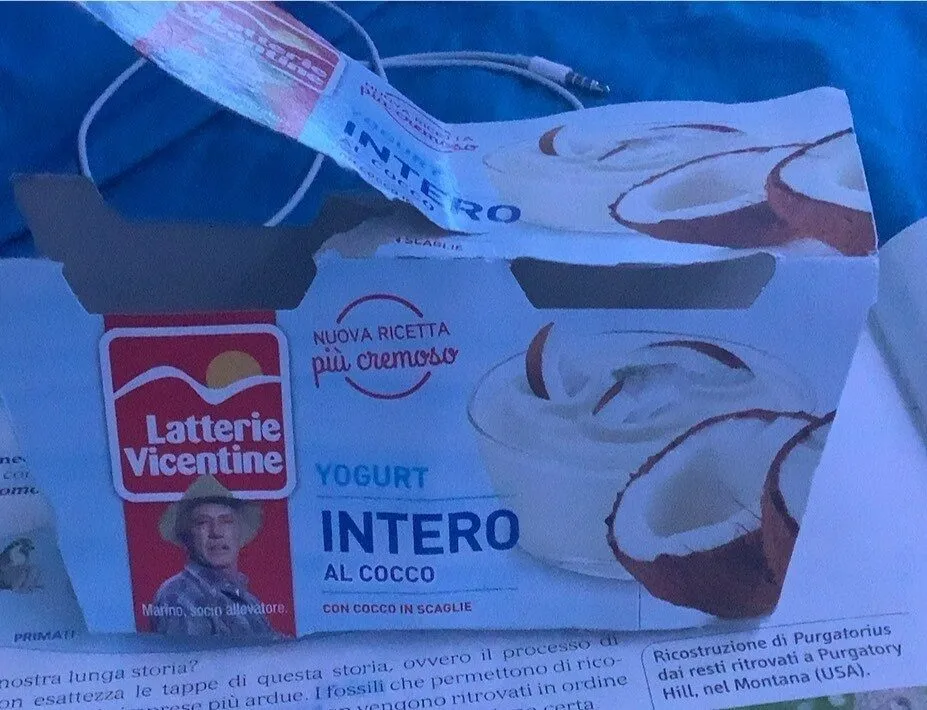 yogurt intero al cocco