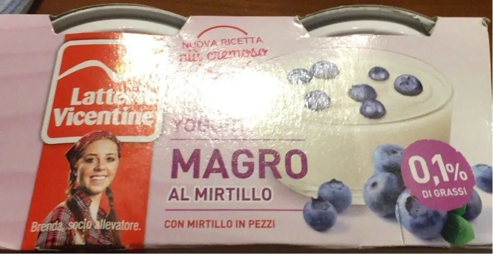 Yogurt magro al mirtillo