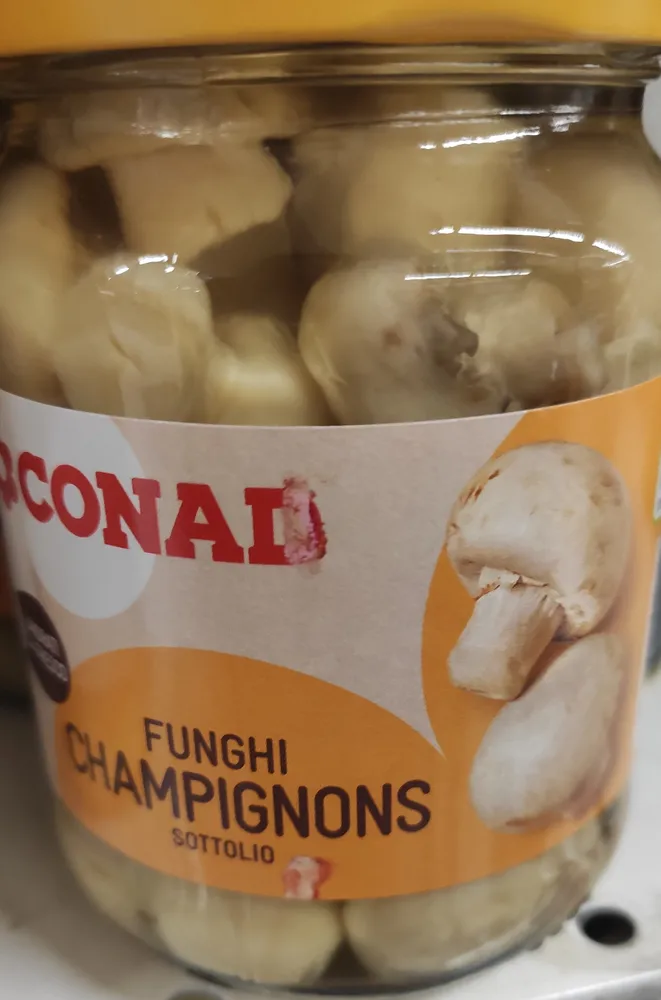 funghi champignon sott'olio