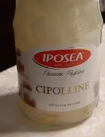 Cipolline