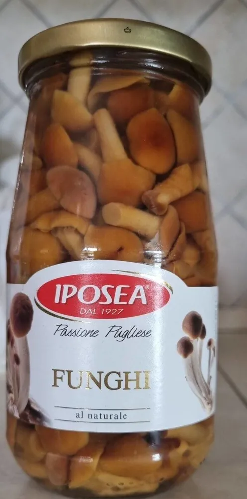 Funghi al naturale