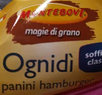 Ognidí panini hamburger