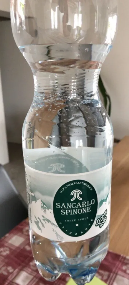 Sancarlo spinone