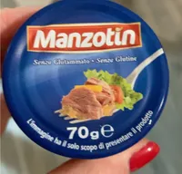 Manzotin