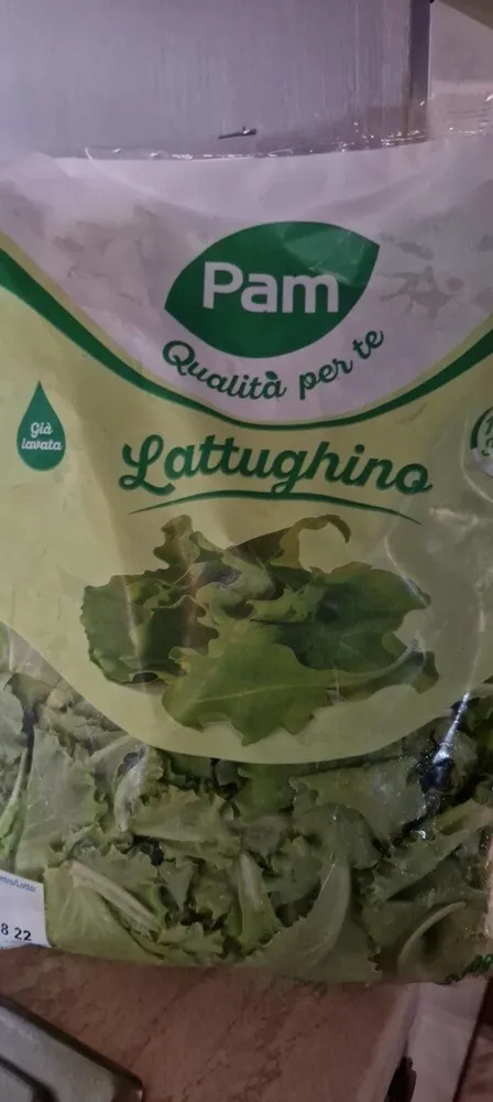 Lattughino