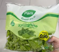 Lattughino