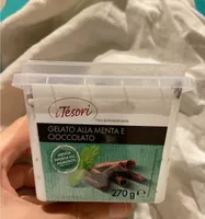 Gelato alla menta e cioccolato