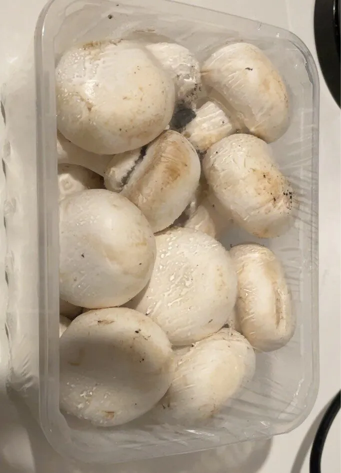 Funghi prataioli coltivati