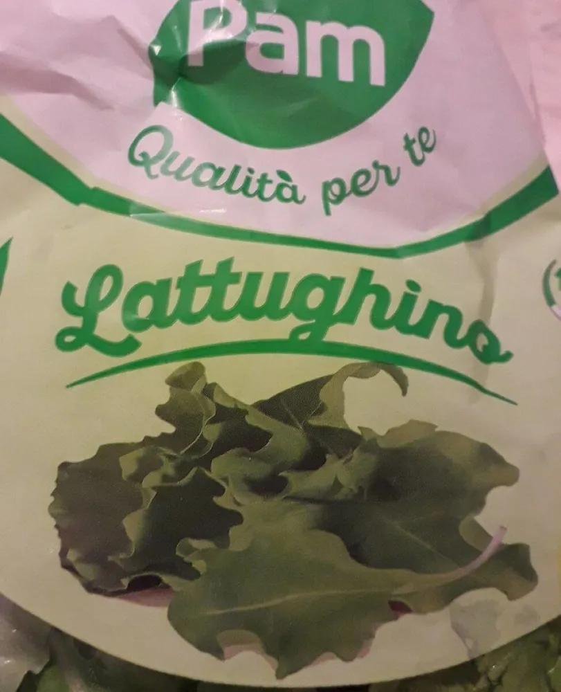 Lattughino