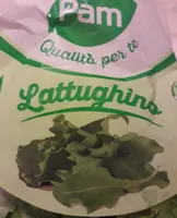 Lattughino