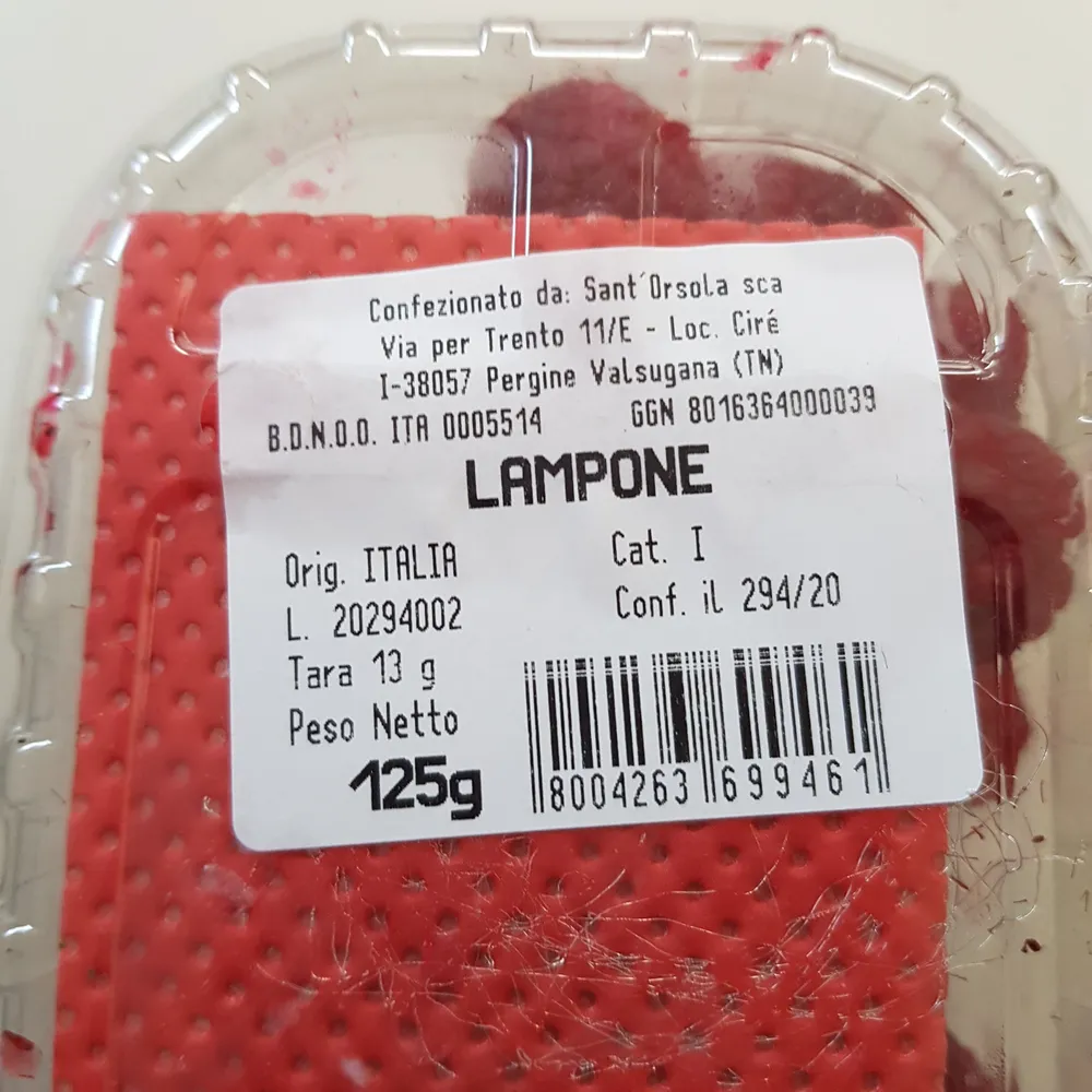Lamponi