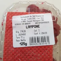 Lamponi