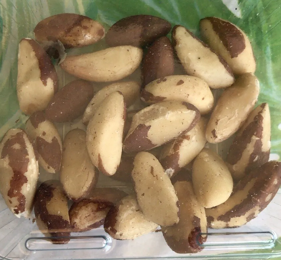 Noci del brasile sgusciate