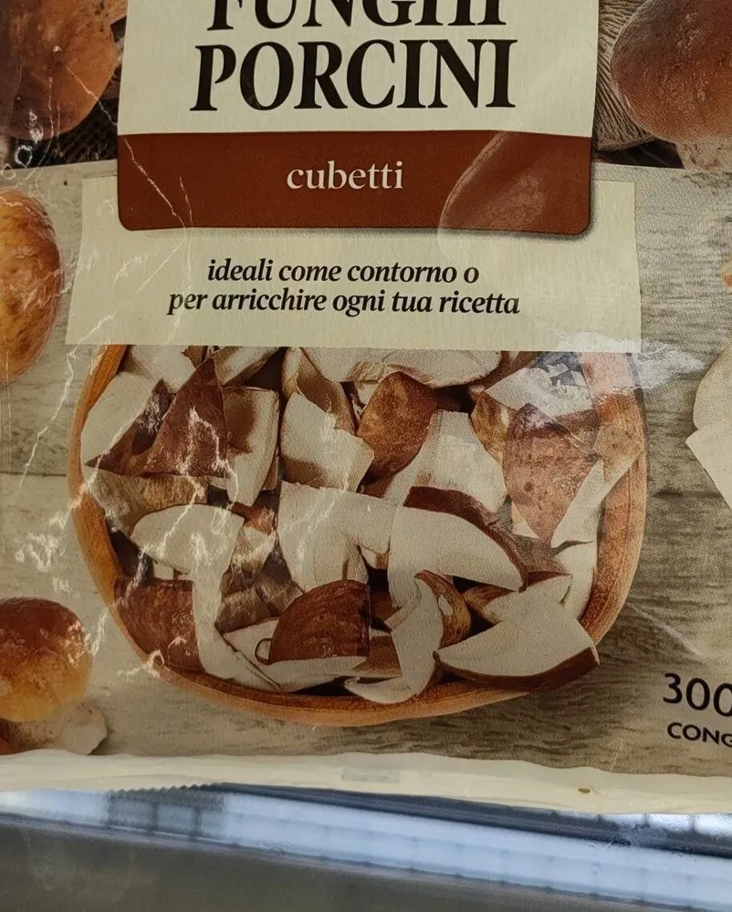 Funghi porcini
