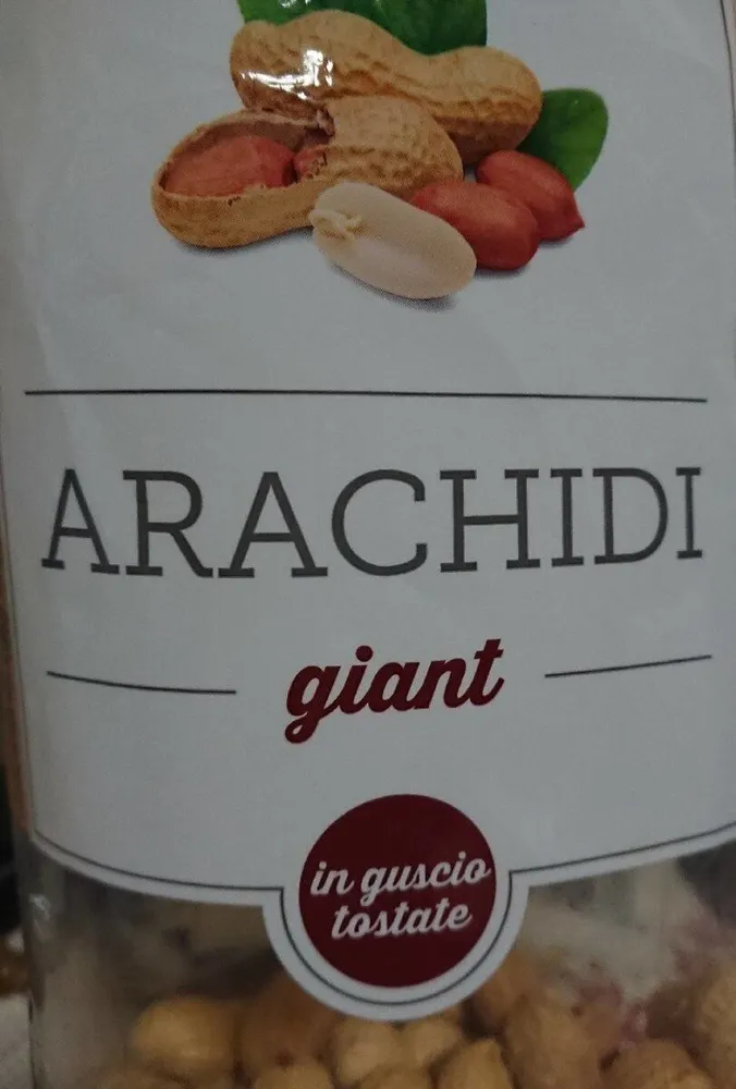 Arachidi