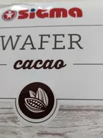 Wafer