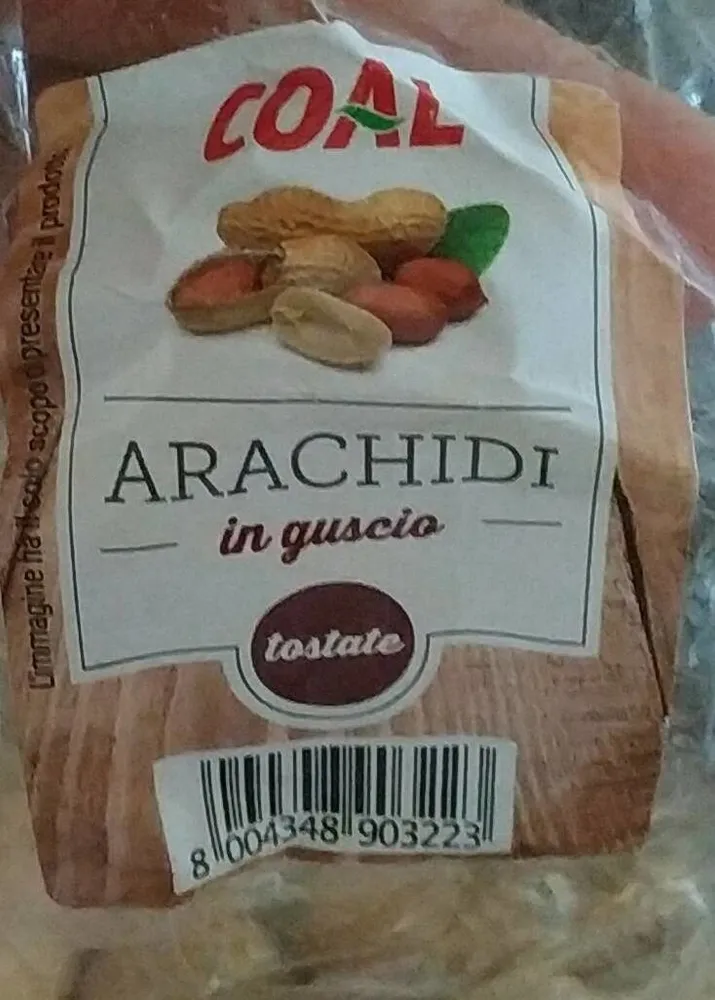 Arachidi in guscio