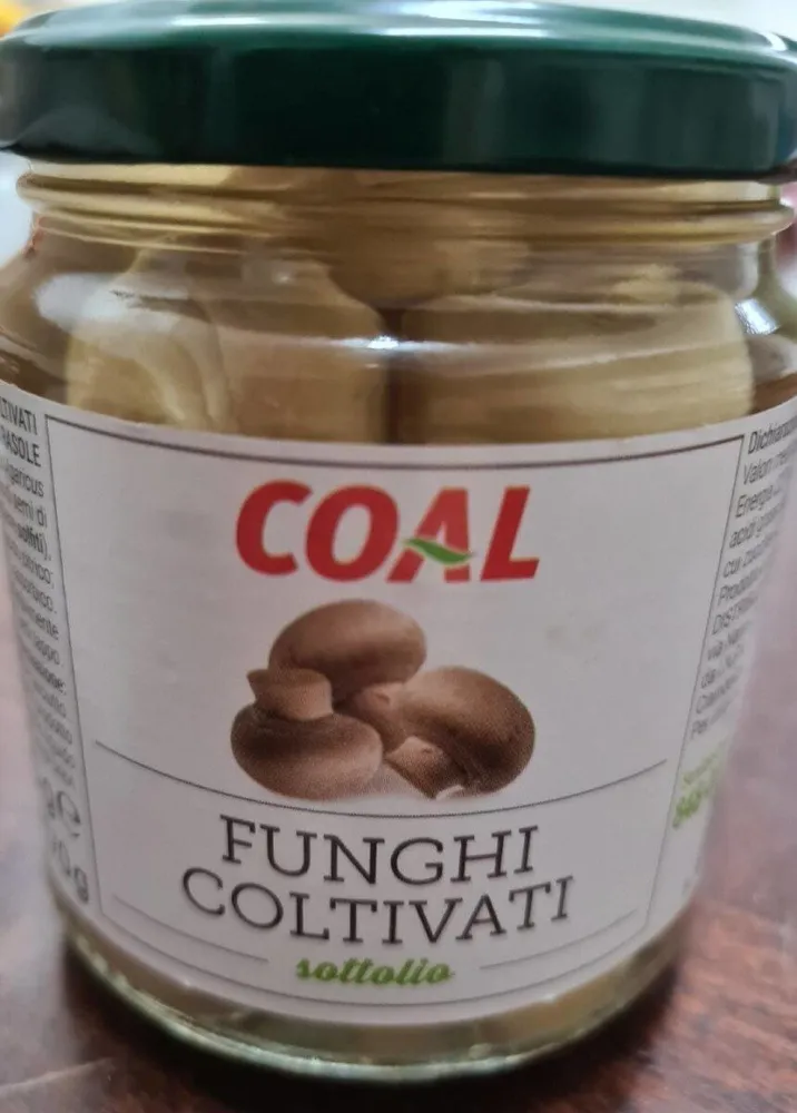 Funghi coltivati