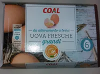 UOVA FRESCHE grandi da allevamento a terra