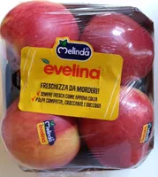 Mela evelina