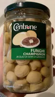Funghi champignon
