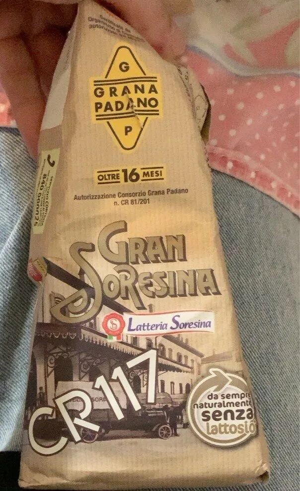 Formaggio Gran Soresina