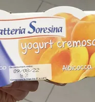 Yogurt