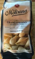 Conchiglioni N°313