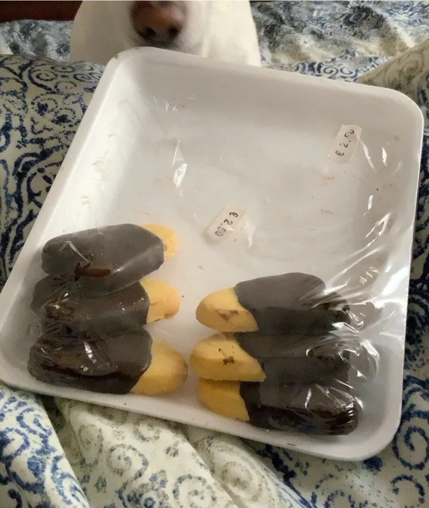 Cuoricini ricoperti di cioccolato