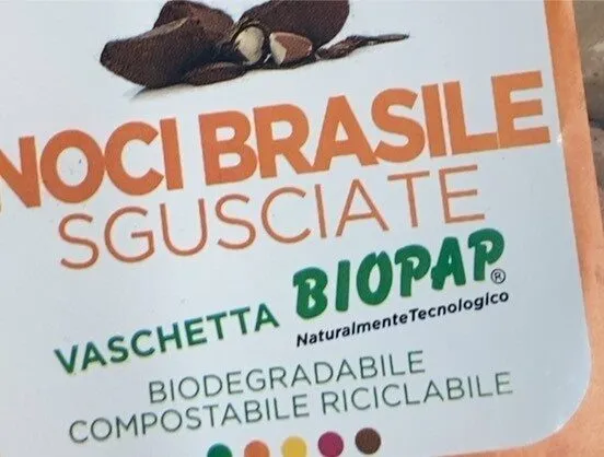 Noci brasile