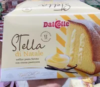 Stella di Natale