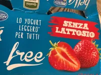 Yogurt senza lattosio