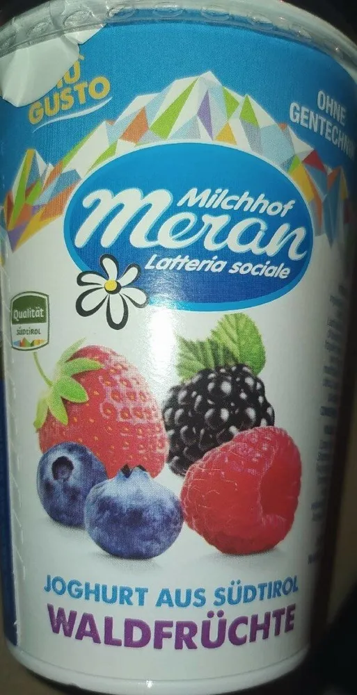Joghurt waldfrüchte - yogurt intero frutti bosco