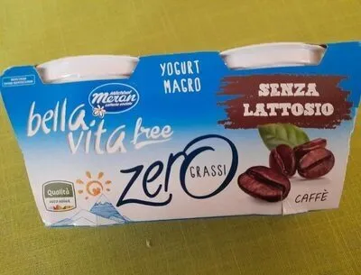 Yogurt magro zero grassi caffè senza lattosio