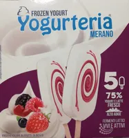 Frozen Yogurt ai frutti di bosco