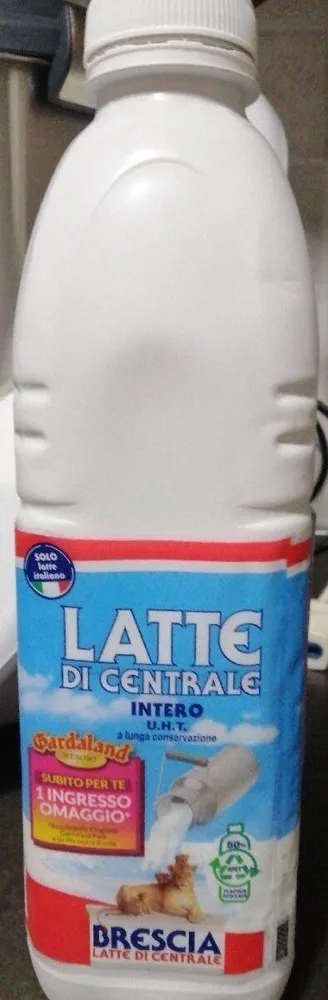 Latte v4