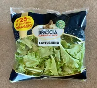 Lattughino