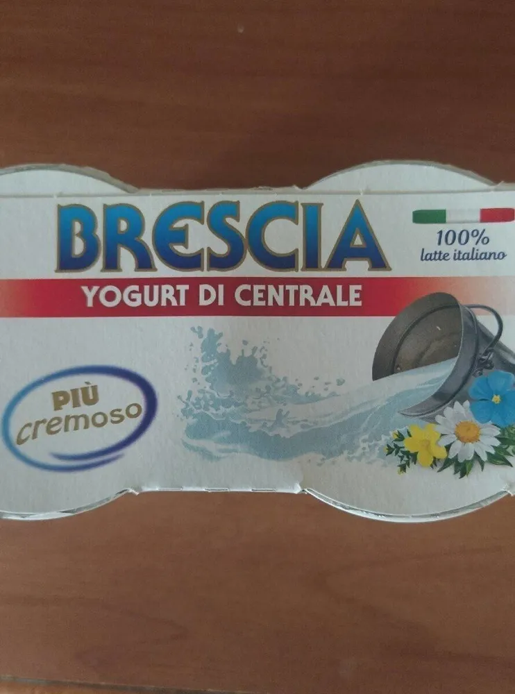 Yogurt